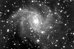 NGC 6946 Ripresa con il telescopio principale AUTORE: PAOLO CALCIDESE