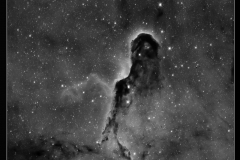 Nebulosa Proboscide Elefante
